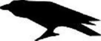 Logo: Buchhandlung Rabe