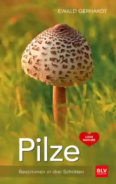 Reihe: BLV Pilze
