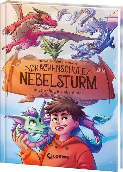 Reihe: Drachenschule Nebelsturm